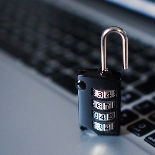 cyber security shield